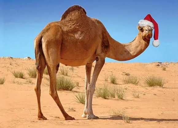 Christmas-in-morocco