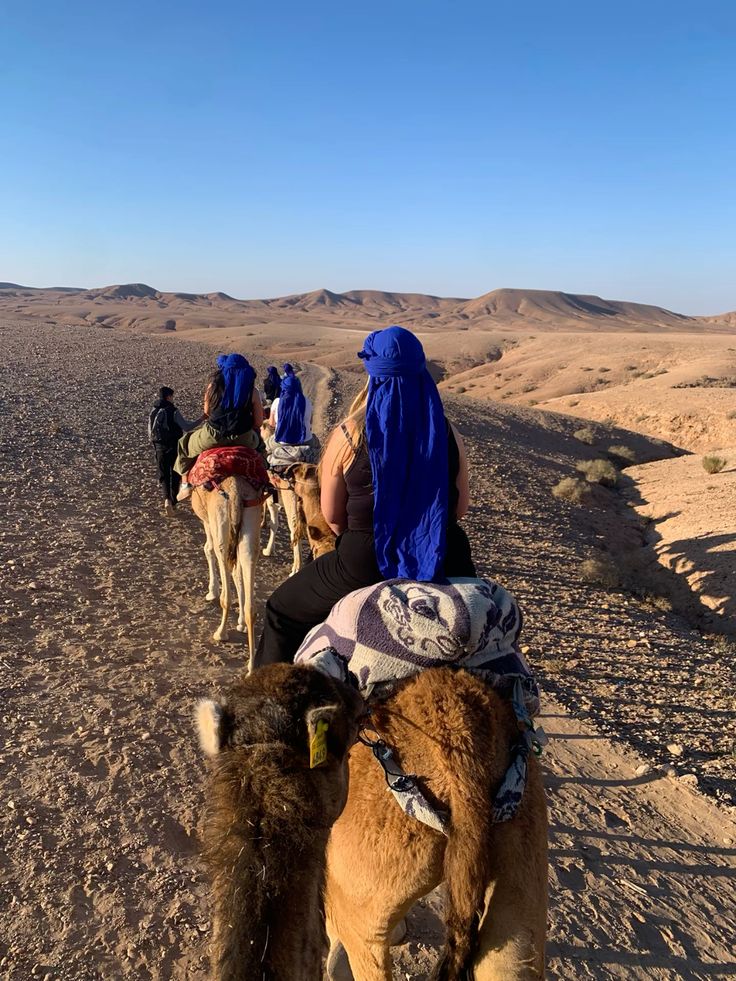 Camel Trekking