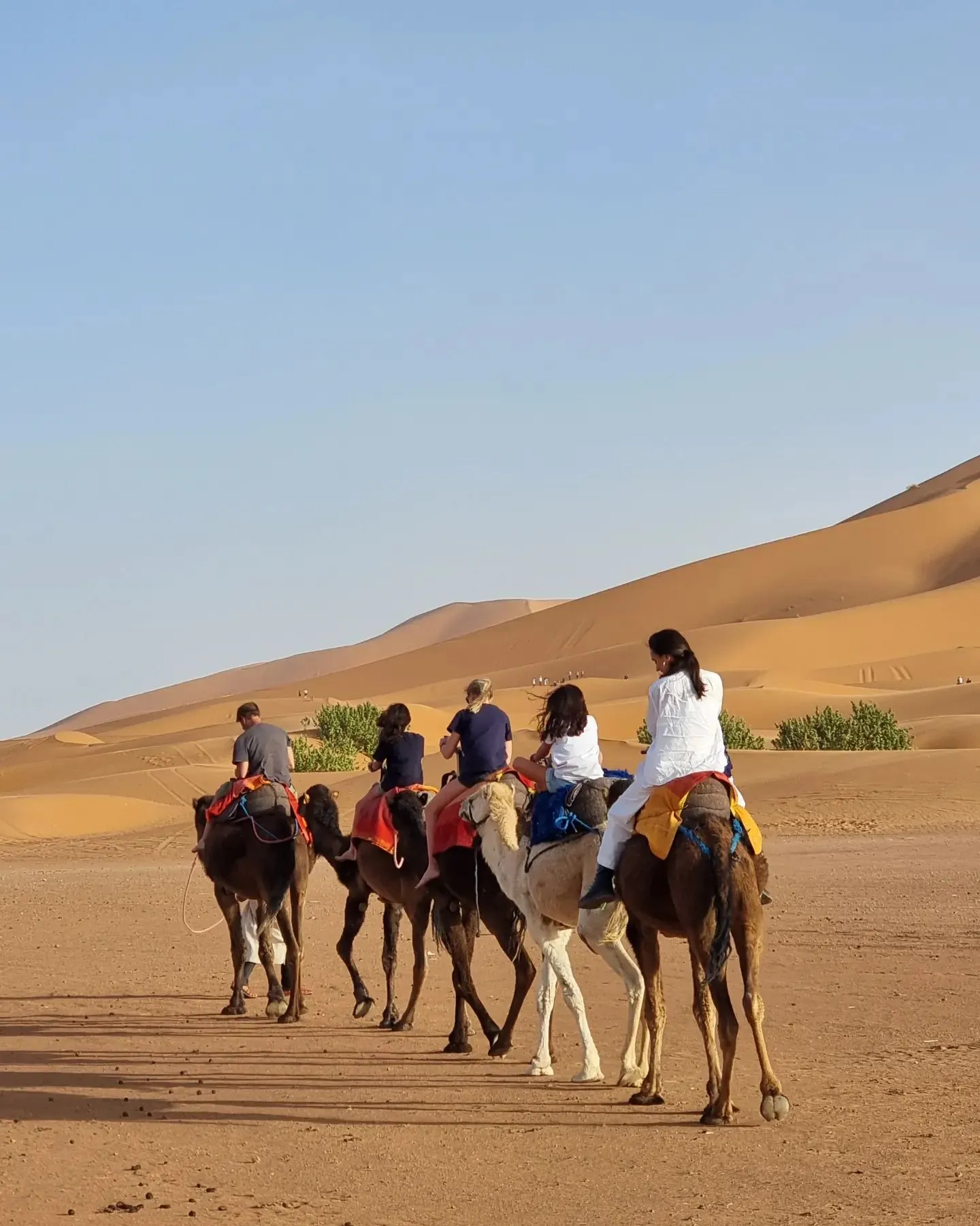 morocco merzouga